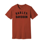 HARLEY-DAVIDSON MENS STAPLE TEE VINTAGE