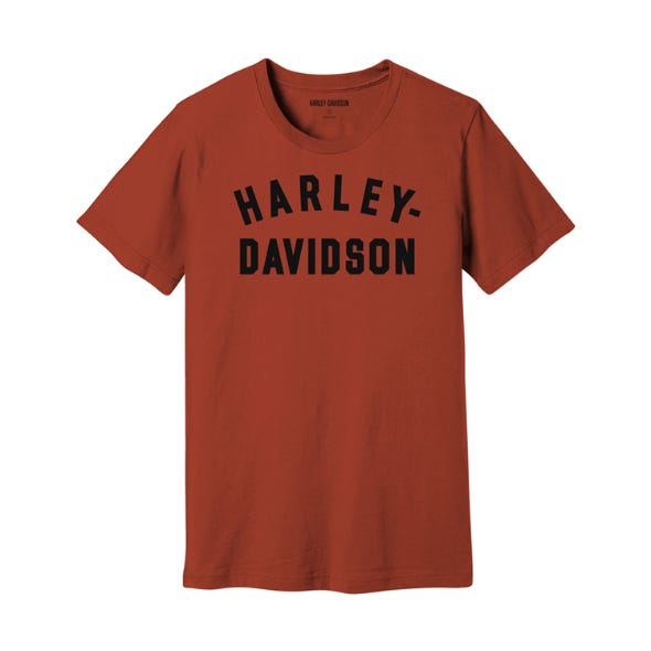 HARLEY-DAVIDSON MENS STAPLE TEE VINTAGE
