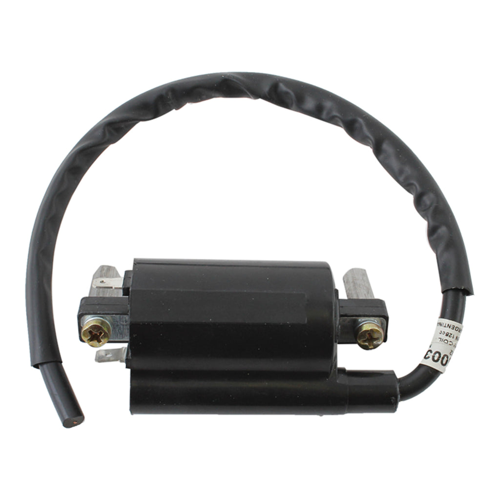 J&N Ignition Coil