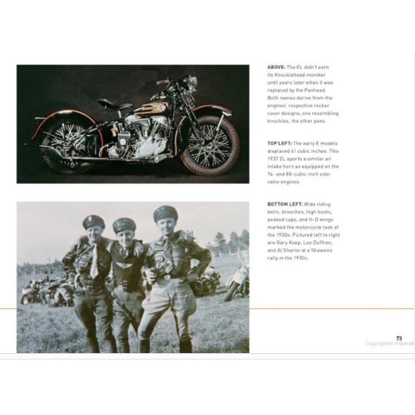 BILTWELL GRINGO S FLAT SHIELD