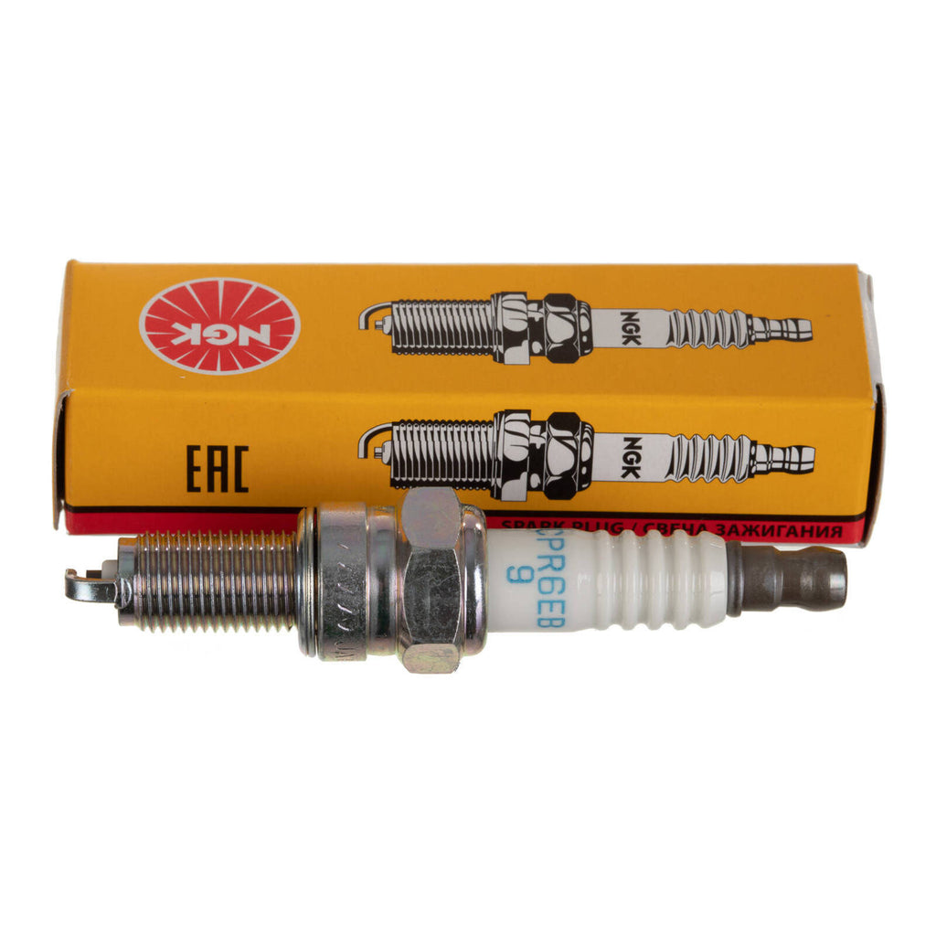 NGK Spark Plug