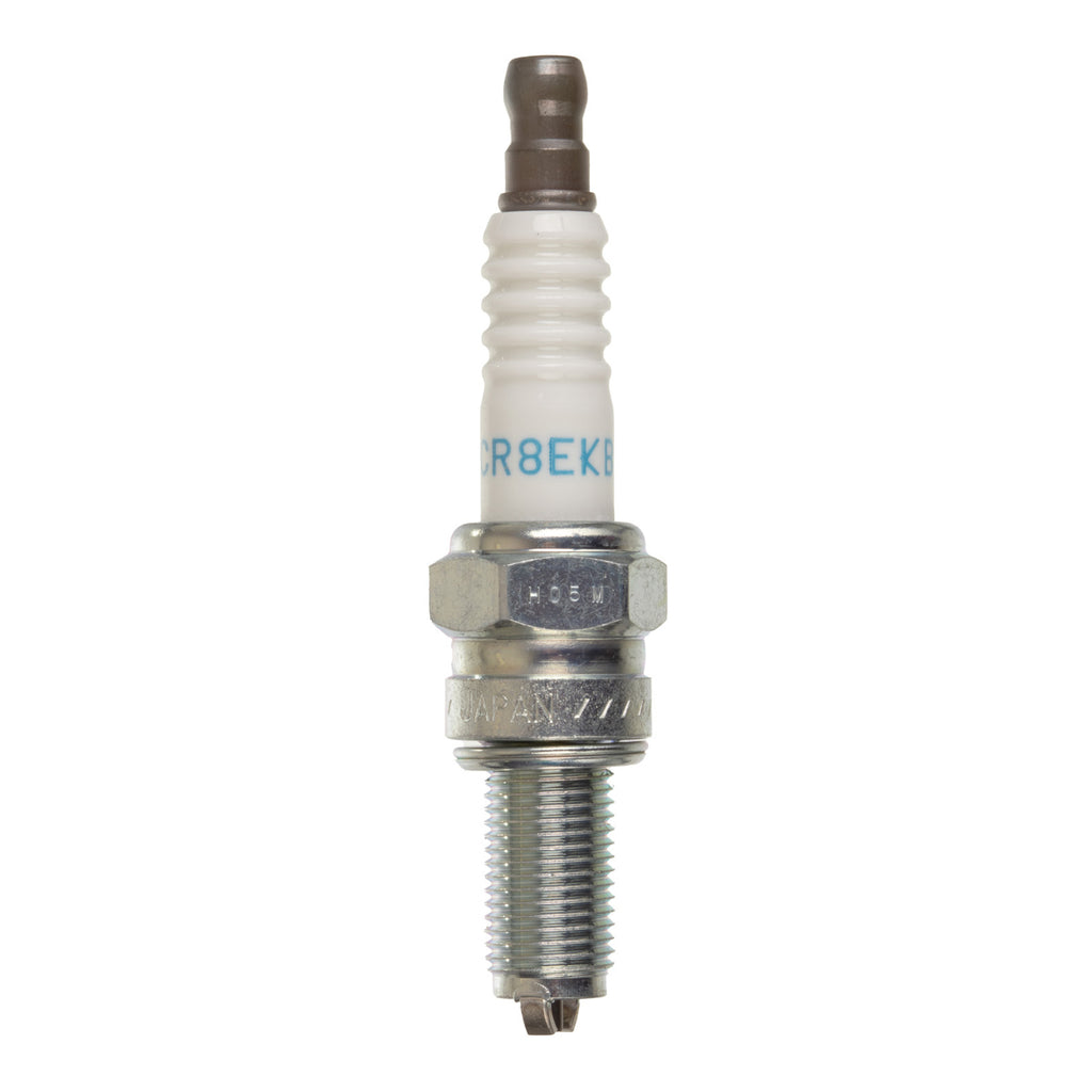 NGK Spark Plug