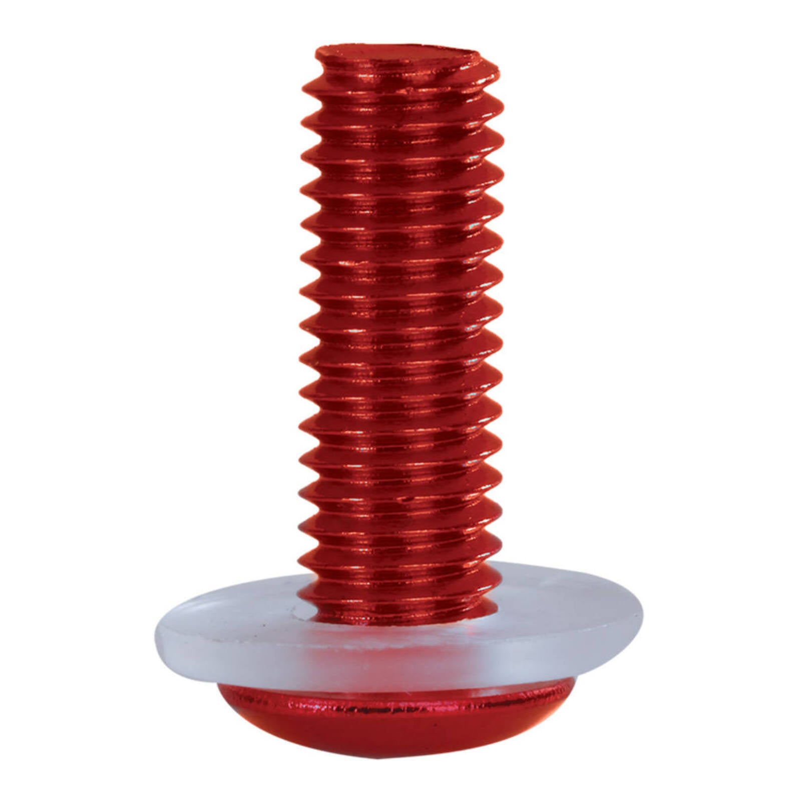 Oxford Screen Screws