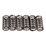Premier Clutch Springs Heavy Duty