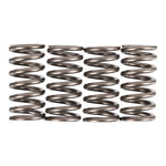 Premier Clutch Springs Heavy Duty
