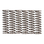 Premier Clutch Springs Heavy Duty