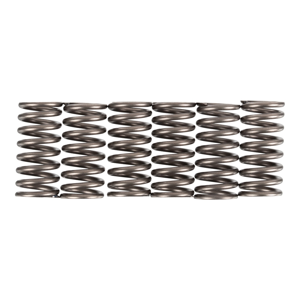 Premier Clutch Springs Heavy Duty