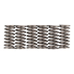 Premier Clutch Springs Heavy Duty