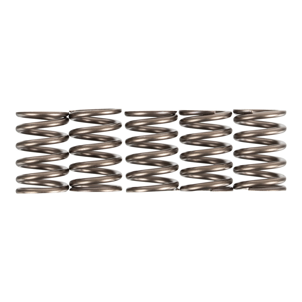 Premier Clutch Springs Heavy Duty