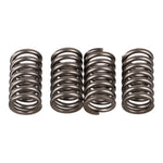 Premier Clutch Springs Heavy Duty