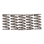 Premier Clutch Springs Heavy Duty