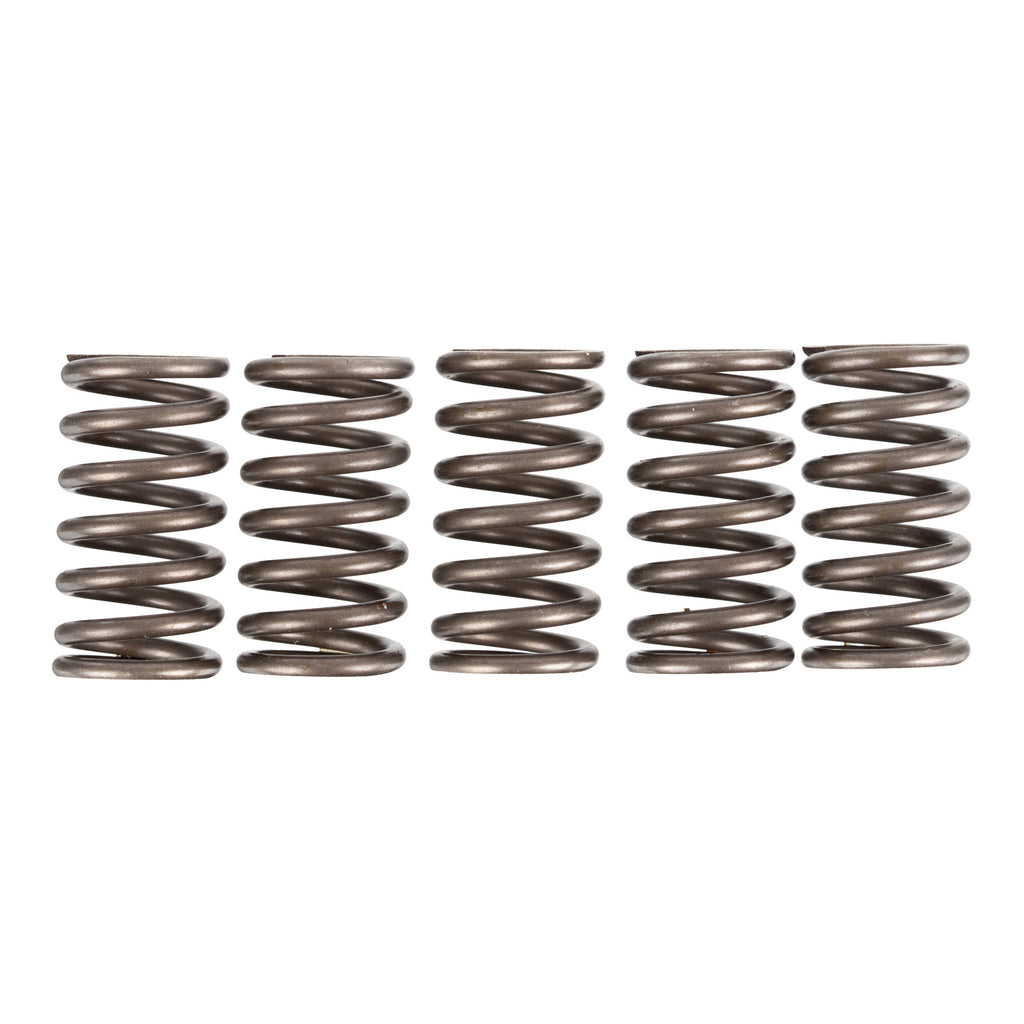 Premier Clutch Springs Heavy Duty