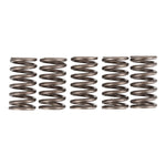 Premier Clutch Springs Heavy Duty
