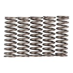 Premier Clutch Springs Heavy Duty