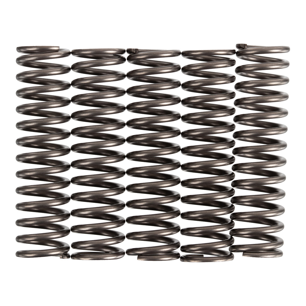 Premier Clutch Springs Heavy Duty