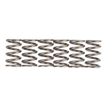 Premier Clutch Springs Heavy Duty