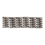 Premier Clutch Springs Heavy Duty