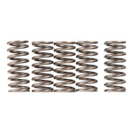 Premier Clutch Springs Heavy Duty