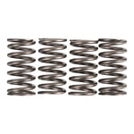 Premier Clutch Springs Heavy Duty