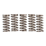 Premier Clutch Springs Heavy Duty