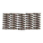 Premier Clutch Springs Heavy Duty