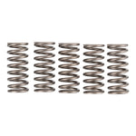 Premier Clutch Springs Heavy Duty