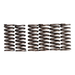 Premier Clutch Springs Heavy Duty