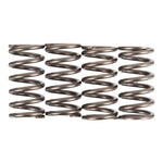 Premier Clutch Springs Heavy Duty