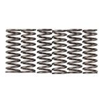 Premier Clutch Springs Heavy Duty