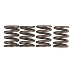 Premier Clutch Springs Heavy Duty