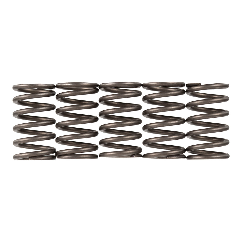 Premier Clutch Springs Heavy Duty