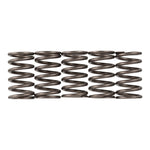 Premier Clutch Springs Heavy Duty
