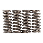 Premier Clutch Springs Heavy Duty