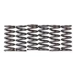 Premier Clutch Springs Heavy Duty