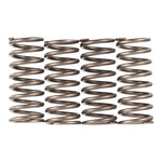 Premier Clutch Springs Heavy Duty