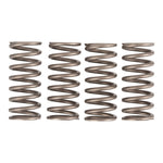 Premier Clutch Springs Heavy Duty