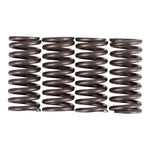 Premier Clutch Springs Heavy Duty