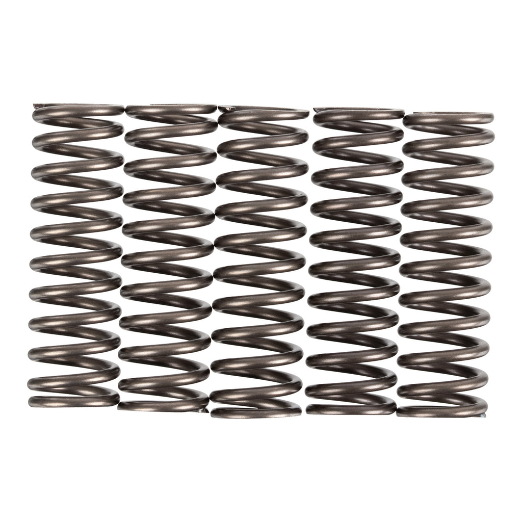 Premier Clutch Springs Heavy Duty