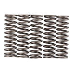 Premier Clutch Springs Heavy Duty