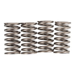 Premier Clutch Springs Heavy Duty