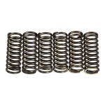 Premier Clutch Springs Heavy Duty