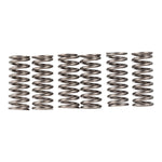 Premier Clutch Springs Heavy Duty