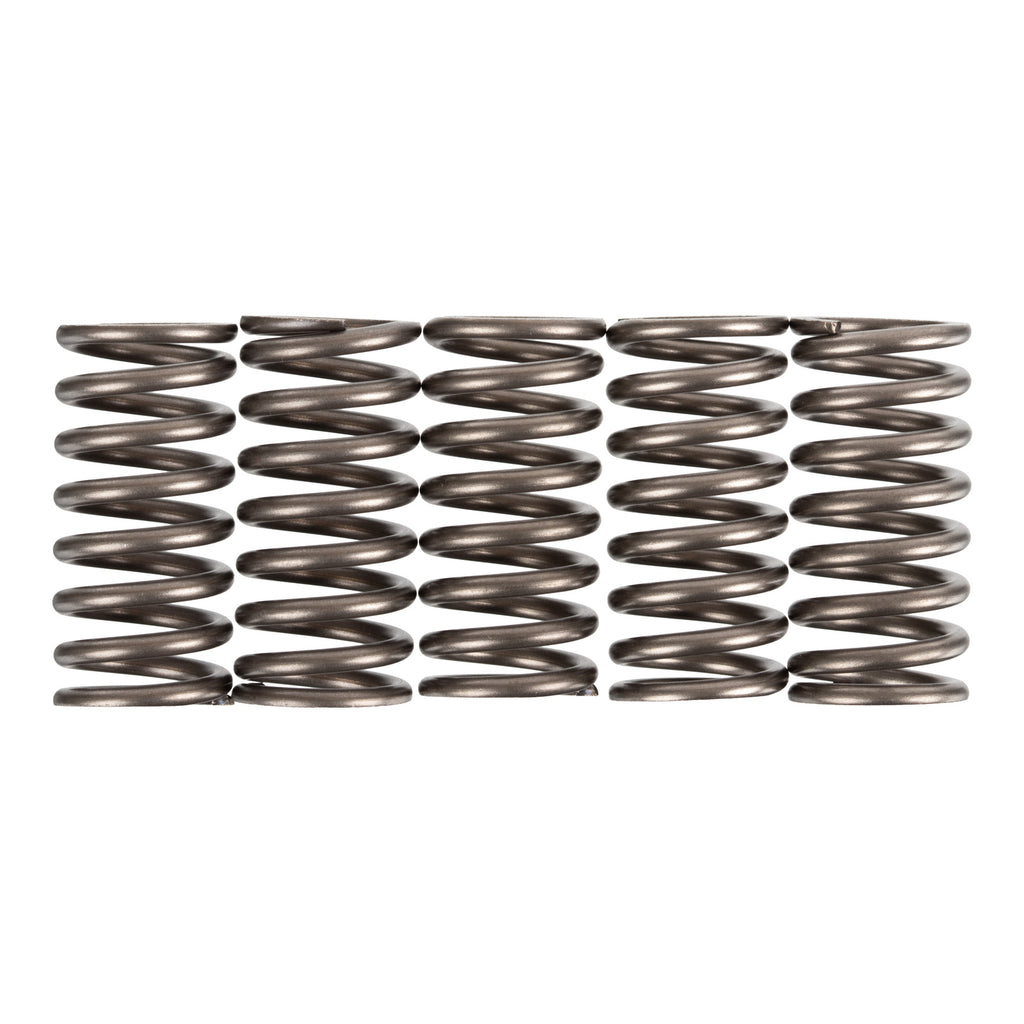 Premier Clutch Springs Heavy Duty