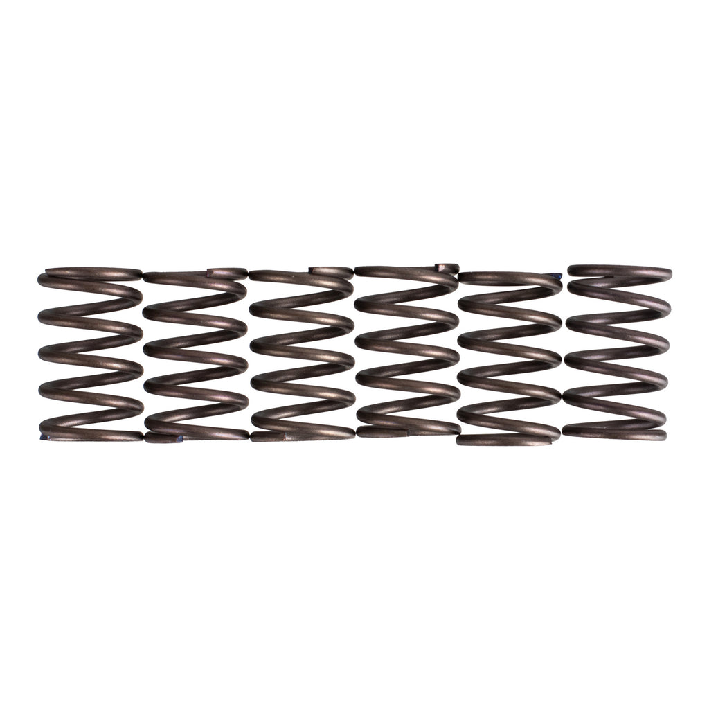 Premier Clutch Springs Heavy Duty