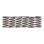 Premier Clutch Springs Heavy Duty