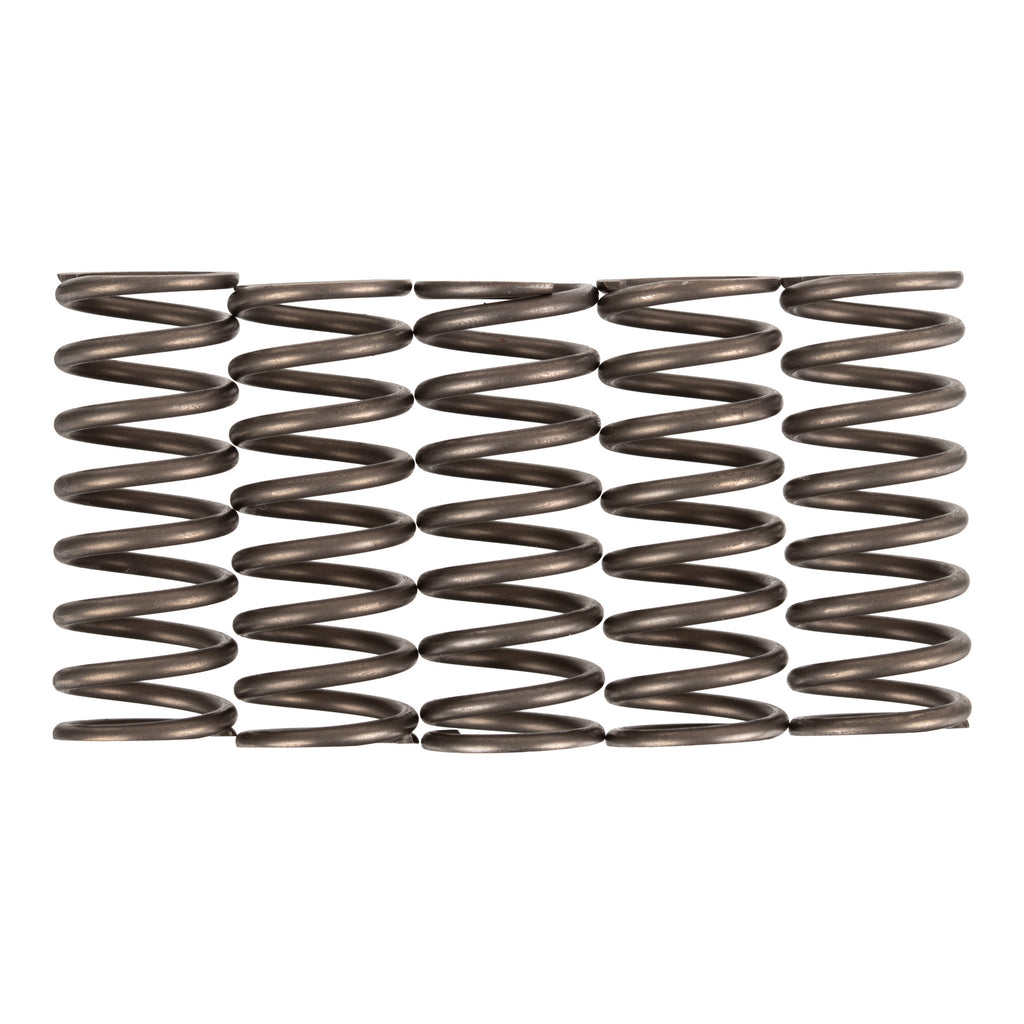 Premier Clutch Springs Heavy Duty