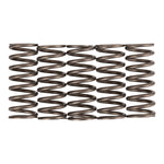 Premier Clutch Springs Heavy Duty