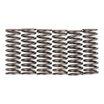 Premier Clutch Springs Heavy Duty