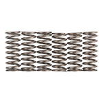 Premier Clutch Springs Heavy Duty