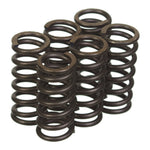 Premier Clutch Springs Heavy Duty